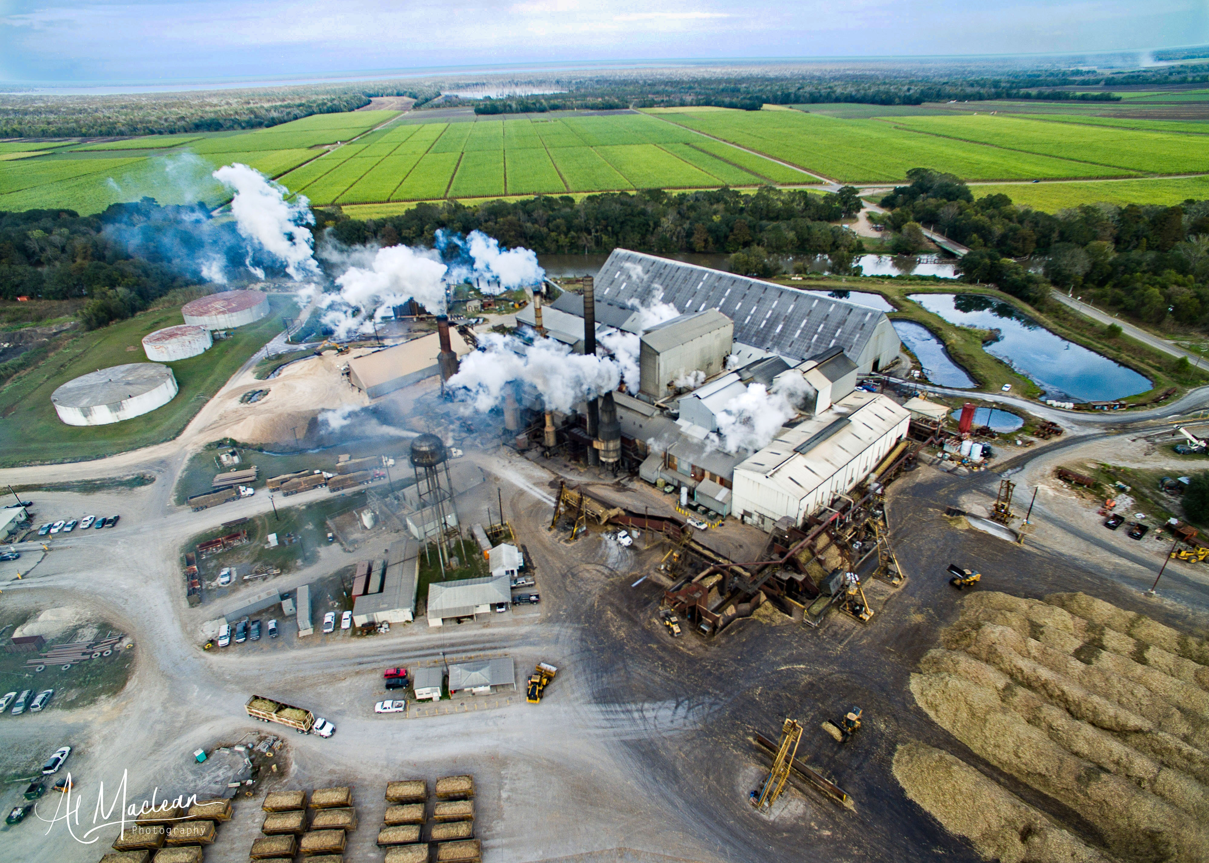 Temporary Foreign Labor and Sugar in Louisiana